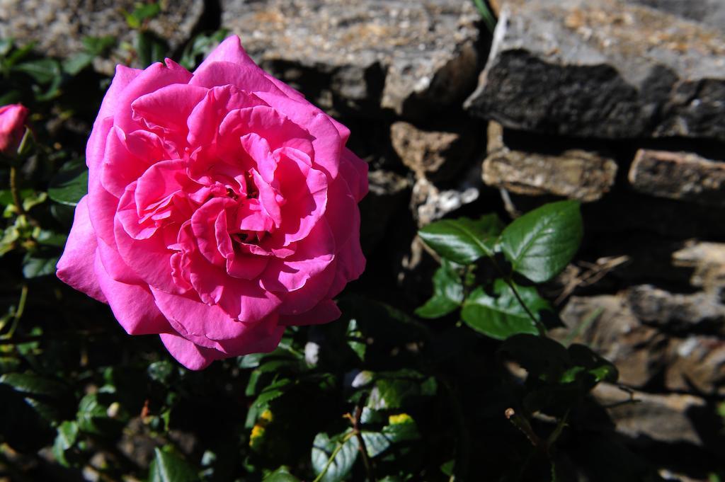 Agriturismo I Monti Semproniano Zewnętrze zdjęcie