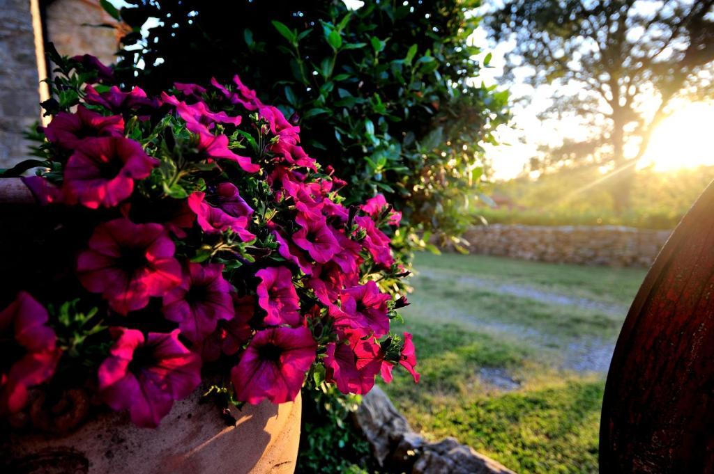 Agriturismo I Monti Semproniano Pokój zdjęcie